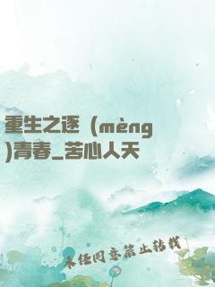 重生之逐夢(mèng)青春