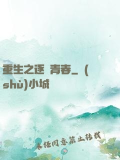 重生之逐夢青春
