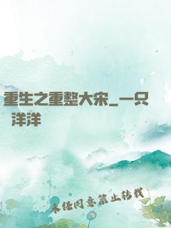 重生之重整大宋