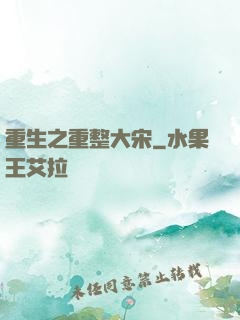 重生之重整大宋