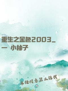 重生之金色2003