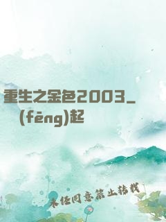 重生之金色2003