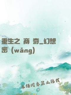 重生之電商傳奇