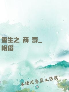 重生之電商傳奇