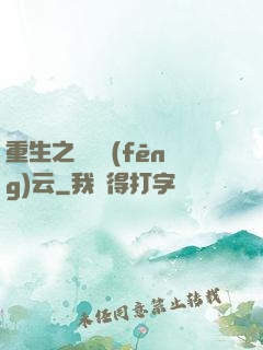 重生之電腦風(fēng)云