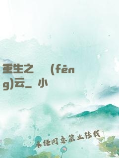 重生之電腦風(fēng)云