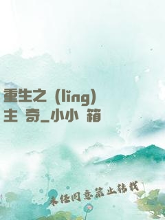 重生之領(lǐng)主傳奇