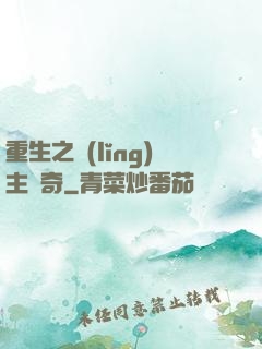 重生之領(lǐng)主傳奇