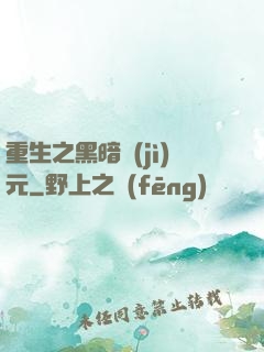 重生之黑暗紀(jì)元