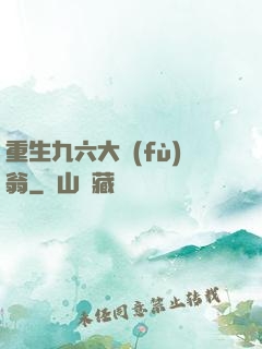 重生九六大負(fù)翁