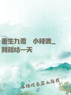 重生九零財運小辣妻