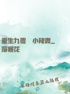 重生九零財運小辣妻