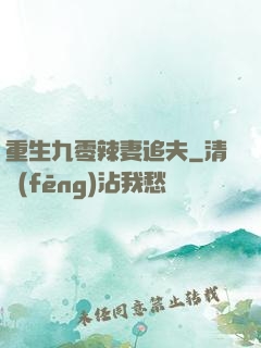 重生九零辣妻追夫