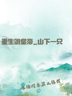 重生做皇帝