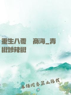 重生八零縱橫商海