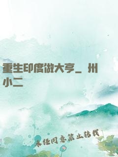重生印度做大亨