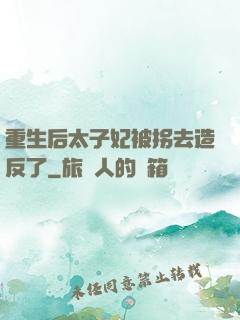 重生后太子妃被拐去造反了