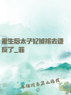 重生后太子妃被拐去造反了