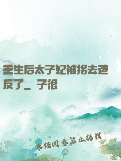 重生后太子妃被拐去造反了