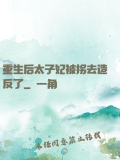 重生后太子妃被拐去造反了