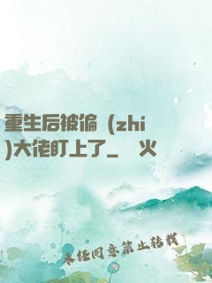 重生后被偏執(zhí)大佬盯上了