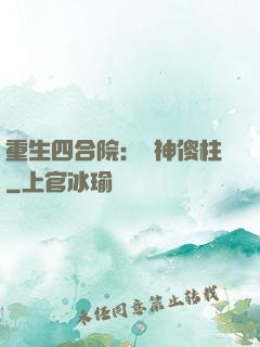 重生四合院：廚神傻柱