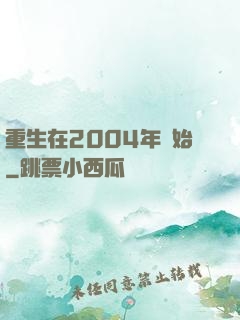 重生在2004年開始