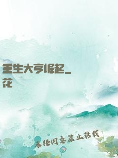 重生大亨崛起