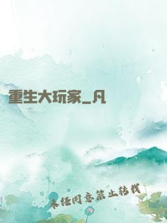 重生大玩家