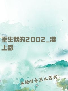 重生我的2002