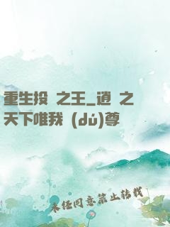 重生投資之王