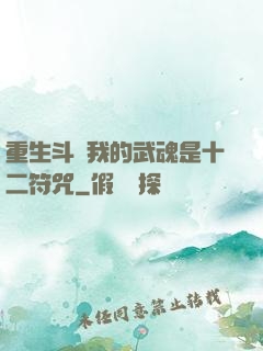 重生斗羅我的武魂是十二符咒