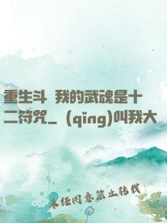 重生斗羅我的武魂是十二符咒