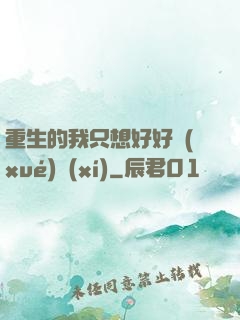 重生的我只想好好學(xué)習(xí)