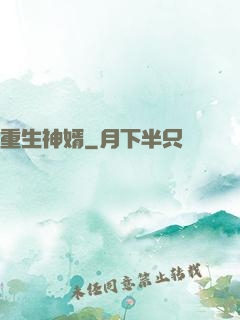 重生神婿