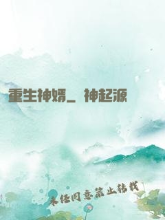 重生神婿