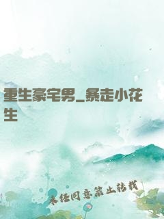 重生豪宅男