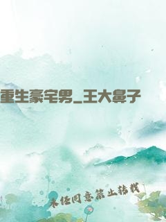 重生豪宅男