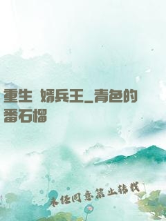 重生贅婿兵王