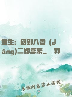 重生：回到八零當(dāng)二婚富豪