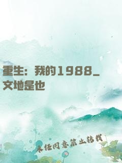 重生：我的1988