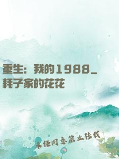 重生：我的1988
