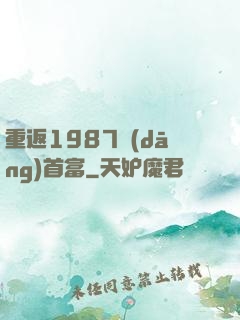 重返1987當(dāng)首富