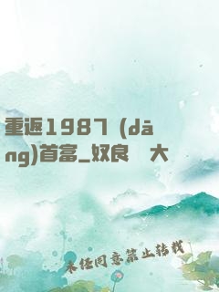 重返1987當(dāng)首富