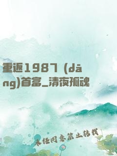 重返1987當(dāng)首富