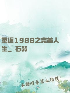 重返1988之完美人生