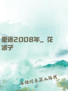 重返2008年