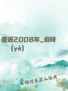 重返2008年