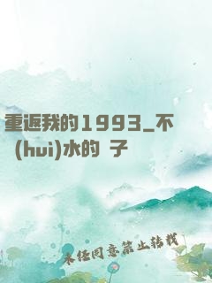 重返我的1993