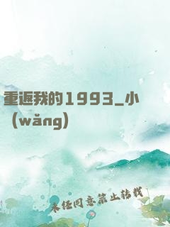 重返我的1993